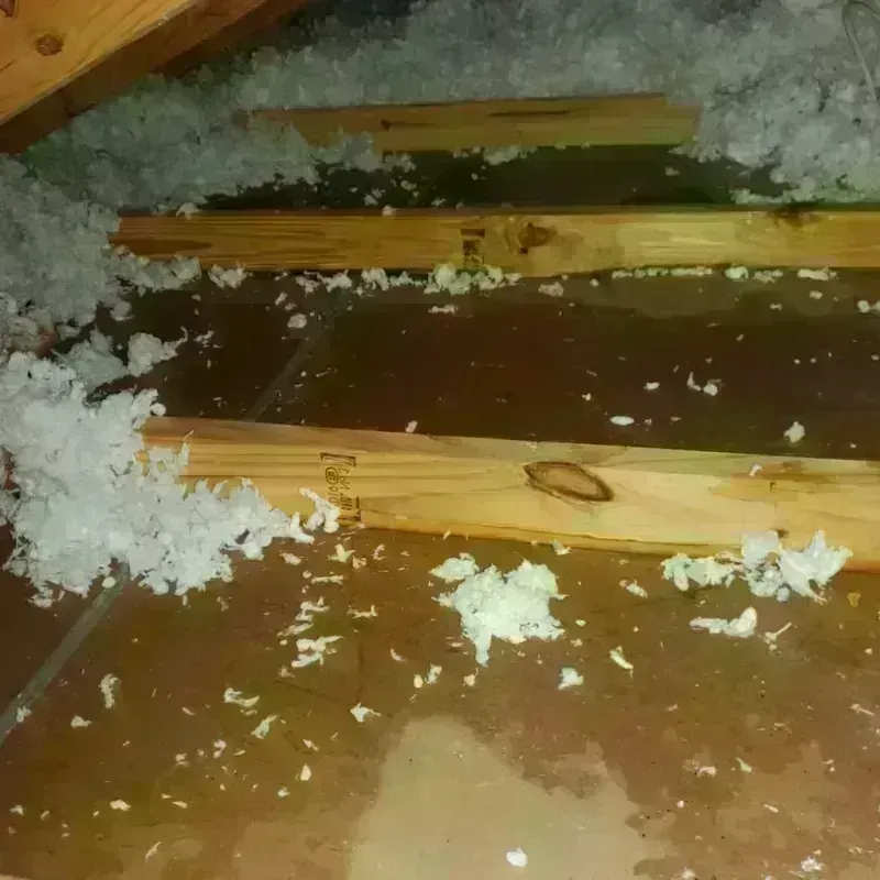 Attic Water Damage in Thompson Falls, MT