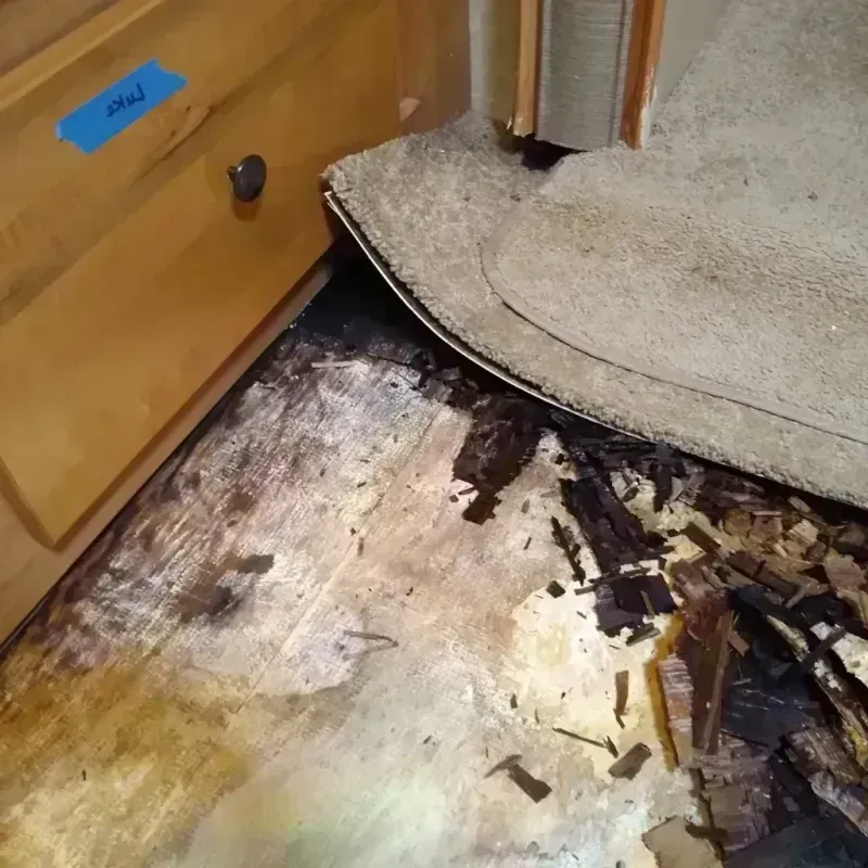 Wood Floor Water Damage in Thompson Falls, MT